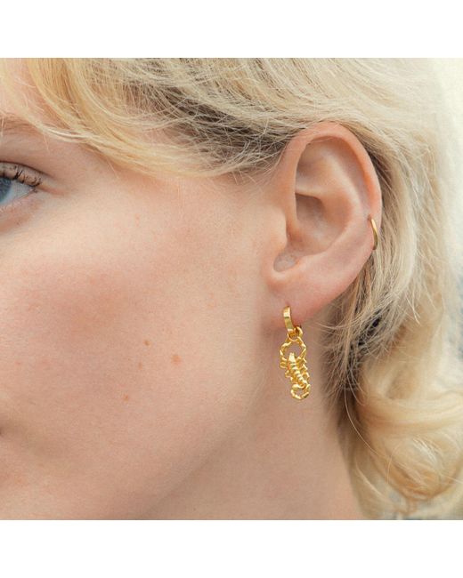 Shaded the Label Metallic Scorpion Droplet Huggie Hoop Earrings