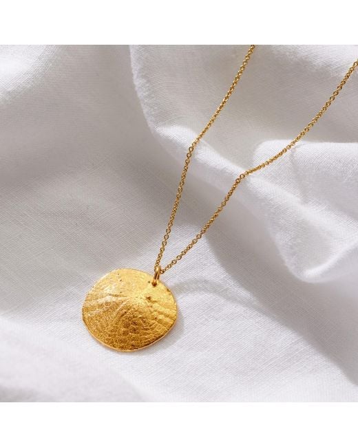 Posh Totty Designs Metallic Yellow Gold Plated Cowrie Shell Necklace