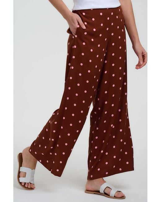Sugarhill Brown Patsy Palazzo Trousers, Polka