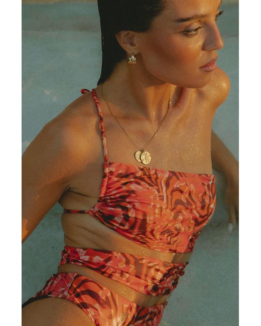 Wild Lovers Orange Heatwave Swimsuit
