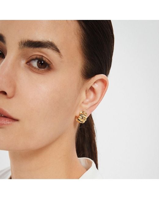 Miss Cecilia Metallic Ribbed Small Hoops