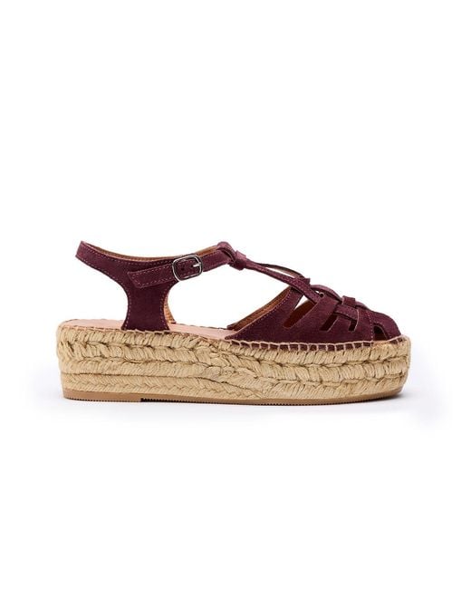 Naguisa Brown Bemol Eggplant