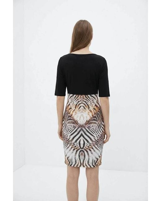 Conquista Black Elegant Zebra-Print Contrast Dress