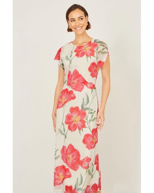 Yumi' Red Neutrals Ivory Poppy Print Midi Mesh Dress