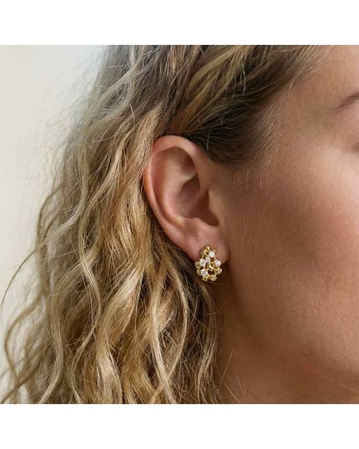 Dainty London Metallic Lyra Stud Earrings