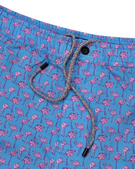 Lords of Harlech Blue Quack Flamingoes for men