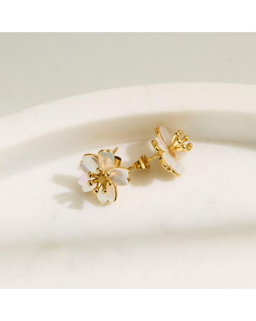 Mulgaro Metallic Caelia Earrings