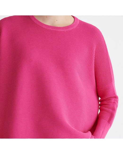 Paisie Ribbed Jumper In Hot Pink