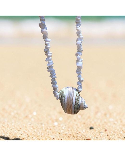 OhSun Metallic Aruba Shell Necklace