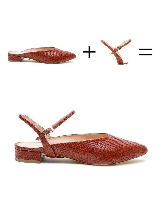Alterre Red Snake Amal Point Slide