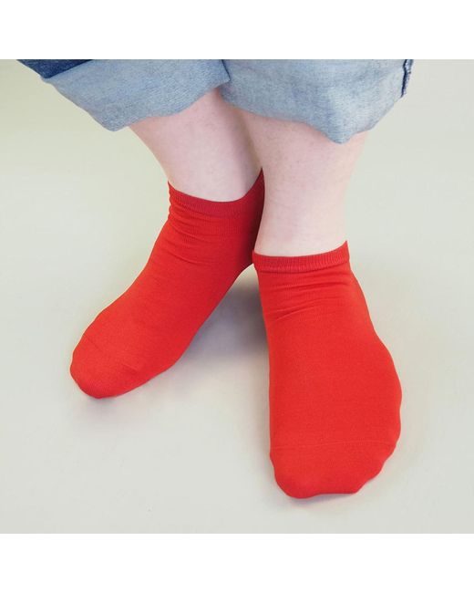 Peper Harow - Made in England Red Oxford Stripe Scarlet & Classic Trainer Socks Bundle for men