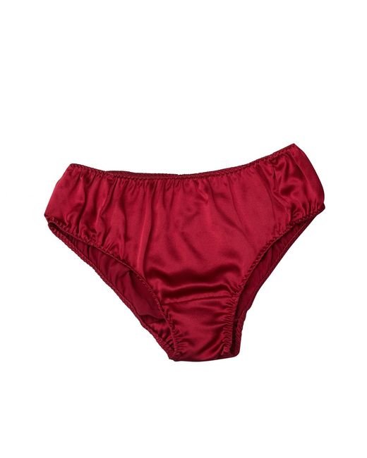 Soft Strokes Silk Red Set Of Two Pure Mulberry Silk Bikini Pantie