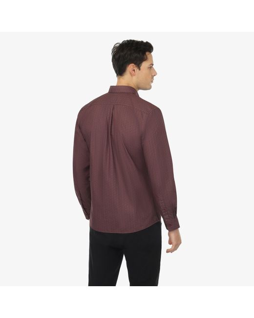 Vustra Purple Maple Grove Print Button-Down Shirt for men