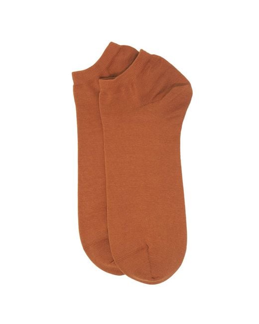 Peper Harow - Made in England Brown Oxford Stripe & Classic Burnt Trainer Socks Bundle for men