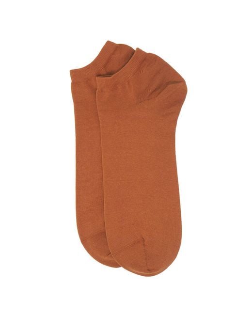 Peper Harow - Made in England Brown Oxford Stripe & Classic Burnt Trainer Socks Bundle for men
