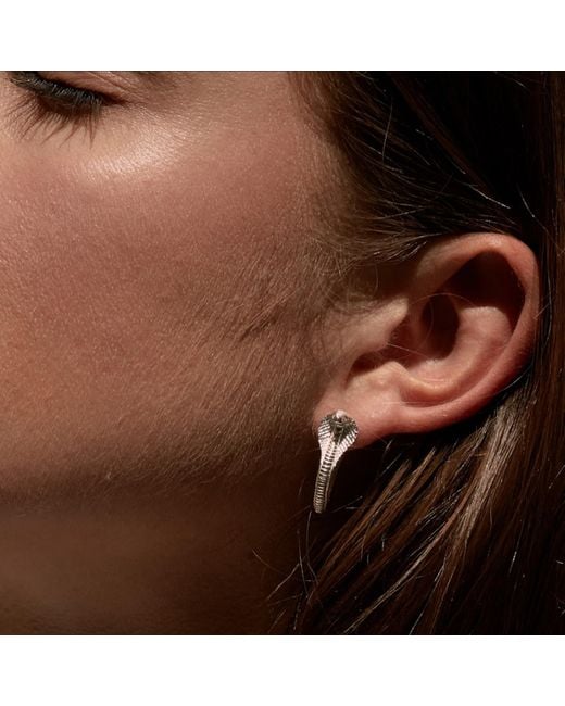 Zoe & Morgan Metallic Cobra Hoops