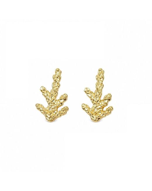 Mother Nature Jewelry Metallic Minimalist Juniper Studs, Handmade Branch Earrings