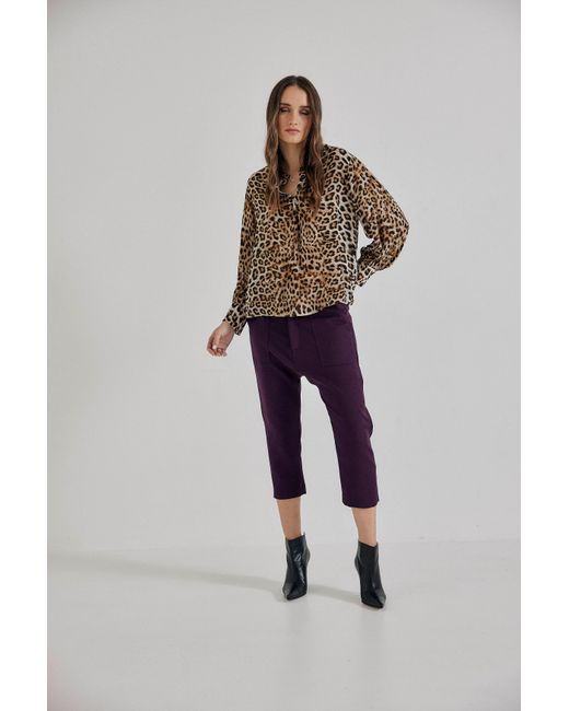 Lindsay Nicholas New York Purple Maverick Drop Crotch Pant
