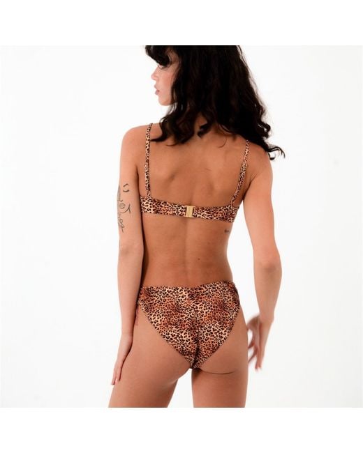 Soleil State Orange Sunseeker Leopard