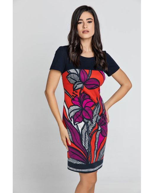 Conquista Blue Floral Dress