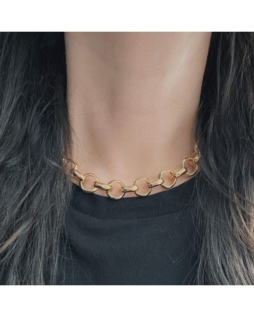 IN CAUDA VENENUM Metallic Aurae Necklace