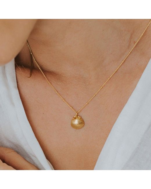 Dainty London Metallic Solid Seashell Necklace