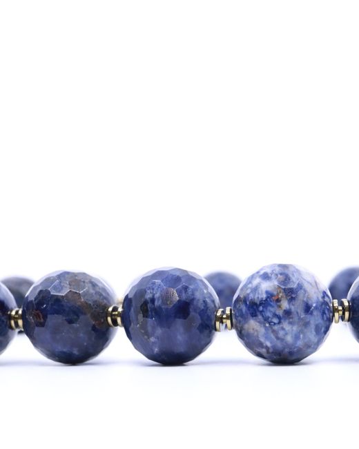 Shar Oke Blue Sodalite, Red Coral, Chevron Amethyst, Lapis Lazuli & Turquoise Beaded Necklace