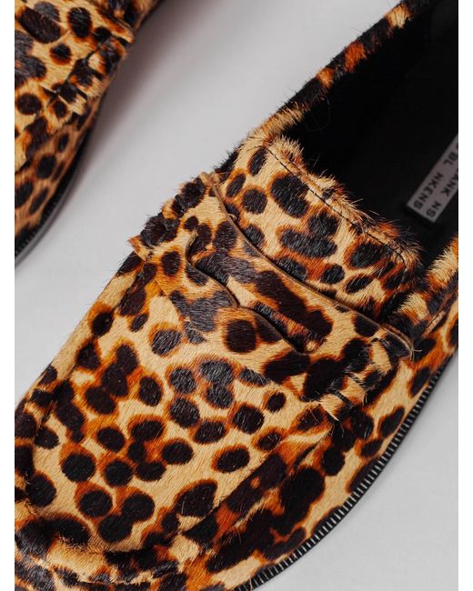 Blankens Brown The Celeste Leopard