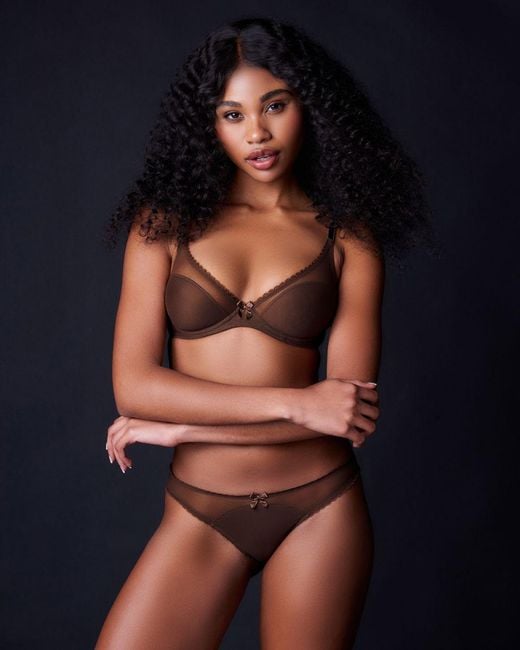 Journelle Brown Victoire Plunge Bra Chocolat