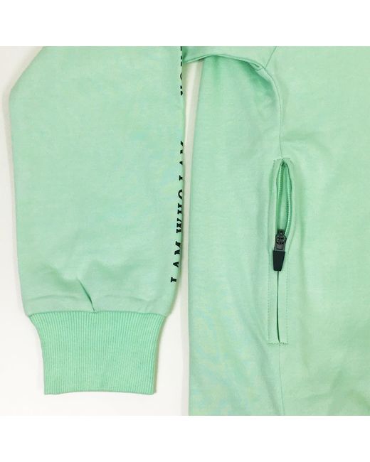 Quillattire Green Mint Mount Fuji Hoodie for men