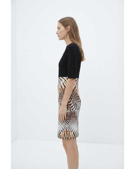 Conquista Black Elegant Zebra-Print Contrast Dress