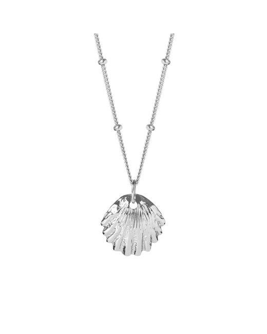 Muru Metallic Shell Necklace