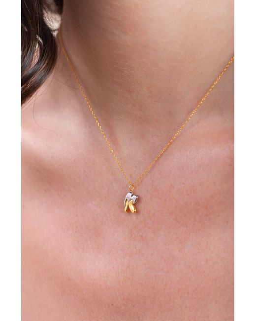 Zynnia Collective Metallic Two Tone Bubble Initial Necklace