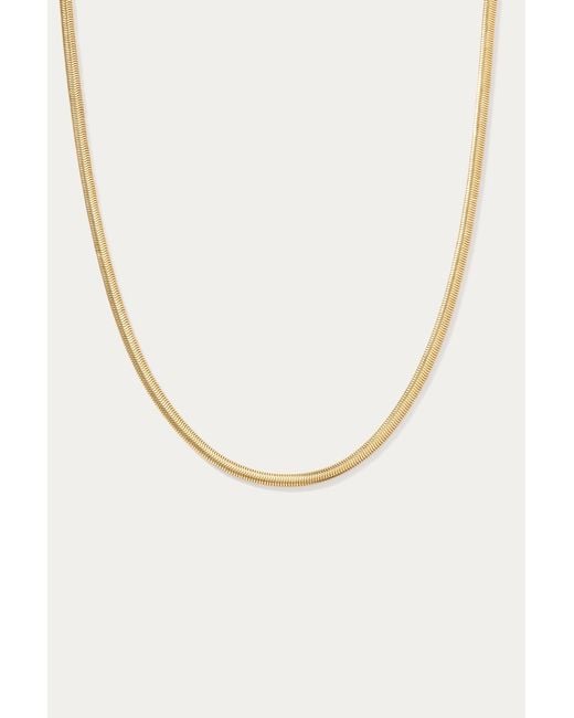 Vanhi Metallic Estelle Herringbone Chain Necklace