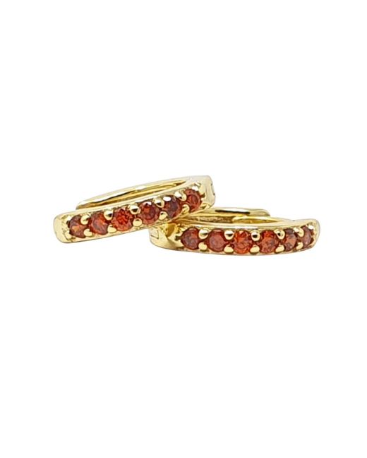 Harfi Metallic Garnet January Birthstone Small Huggie Plated Hoop Earrings