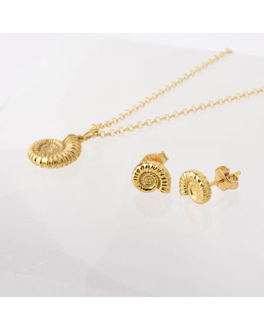 Nellou Jewellery Metallic Ammonite Stud Earrings Plated Sterling
