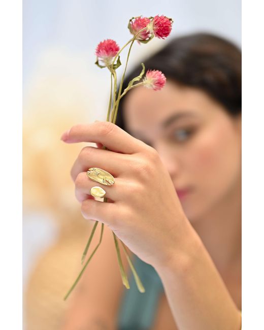 Rare Matters Jewelry Metallic Organic Statement Ring