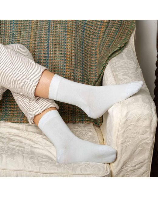 Peper Harow - Made in England Blue Tri & Classic Baby Socks Bundle