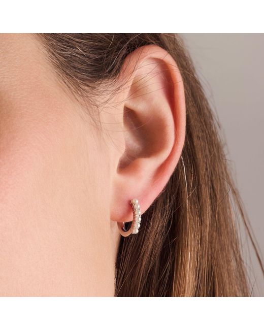 Sif Jakobs Jewellery Metallic Earrings Ellera Perla