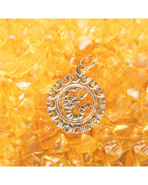 Maya Brenner Metallic Zodiac Necklace
