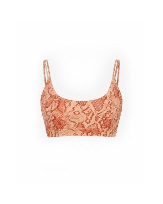 Befitnesslou Pink Bra Coral Snake Print