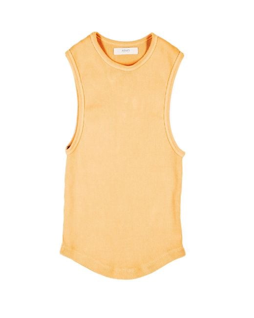 Ariko Orange Sunrise Scallop Tank