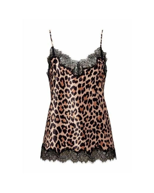 SAINTED SISTERS Brown Scarlett Animal Camisole