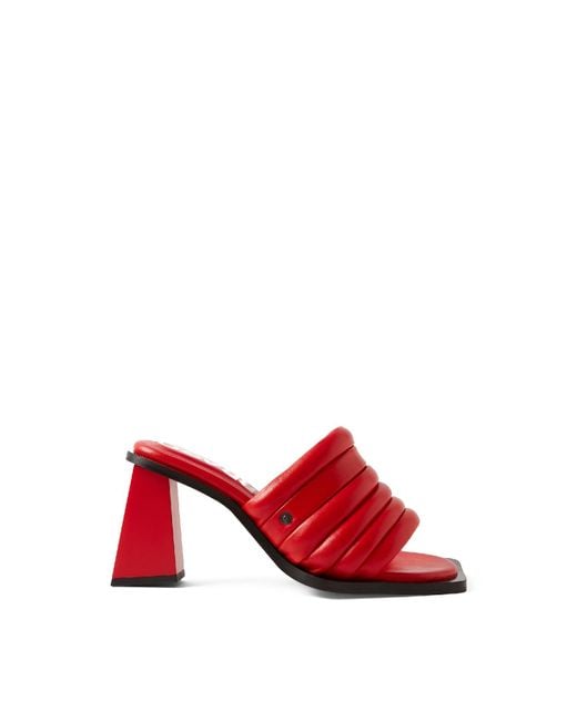 Farra Red Charter Mule