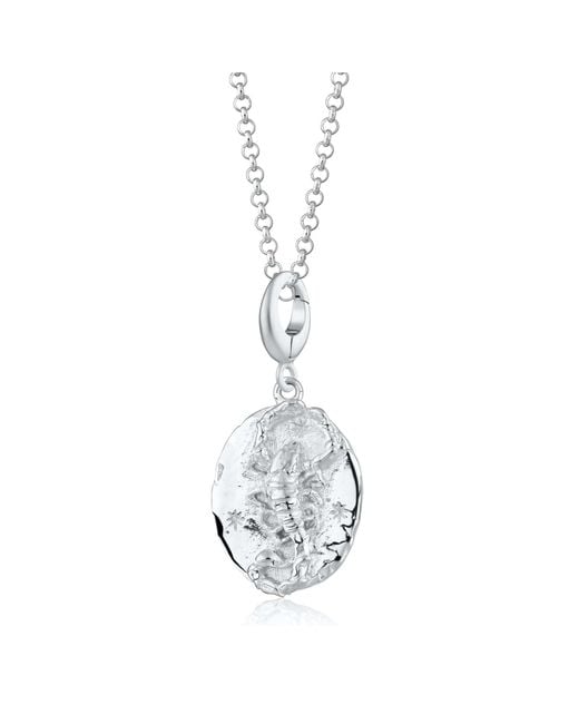 Lily Charmed Metallic Sterling Scorpio Zodiac Charm Necklace