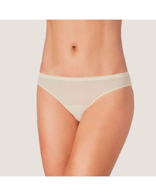 Zd - Zero Defects Natural Neutrals Venus Mini Brief – Comfortable Fit & Skin-Friendly Soy Fiber