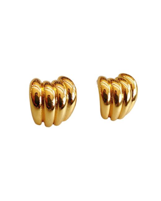 Nazzar Metallic Ribbed Earrings