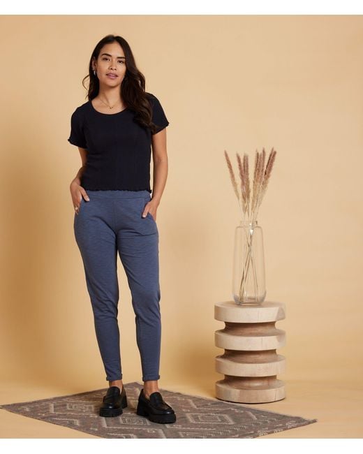 Known Supply Blue Sequoia Pant