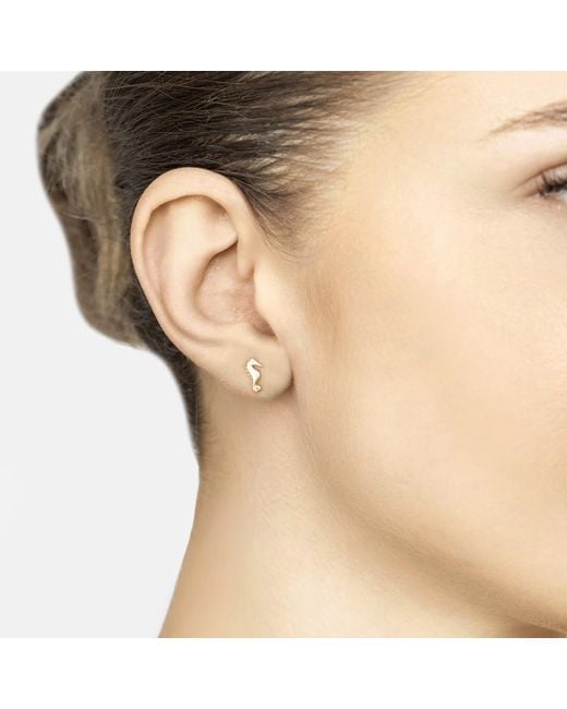 Latelita London Metallic Solid 14K Seahorse Stud Earrings
