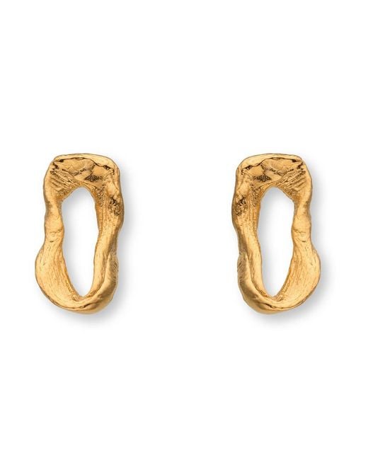 EVA REMENYI Metallic Vacation Small Chain Earrings